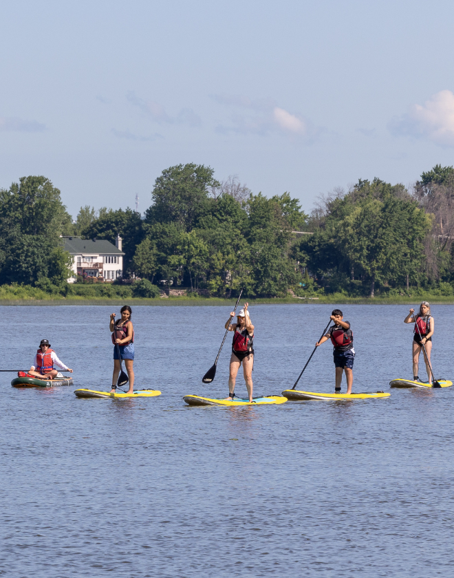 Guided paddleboard excursion